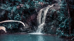 waterfall, stream, forest, jungle, tropical, spray, stones