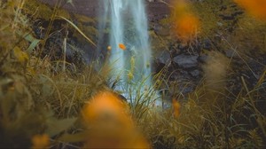 waterfall, rock, cliff, grass, flowers, nature