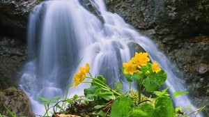 waterfall, rocks, flower - wallpapers, picture
