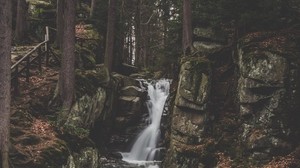 cascata, ruscello, foresta, alberi, pietre