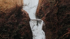 waterfall, flow, water, grass, branches, autumn - wallpapers, picture