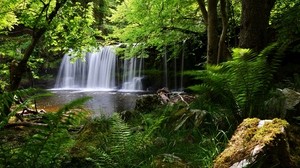 waterfall, grass, nature, shadow - wallpapers, picture