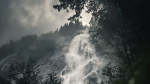 waterfall, fog, branches, course, cliff, rock