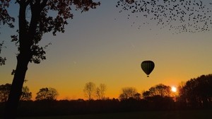 気球、エアロスタット、木、日没、葉、地平線