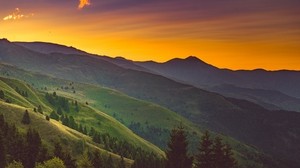 hill, trees, grass, sunset - wallpapers, picture
