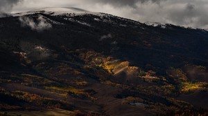 collina, pianura, alberi, nebbia