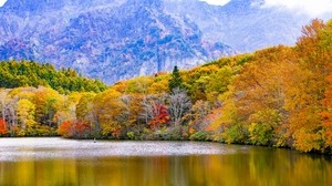 japan, togakushi, lake, mountains, trees, autumn