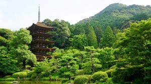 japan, yamaguchi, pond, trees - wallpapers, picture