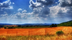 fence, fencing, field, colors
