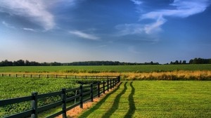 staket, fält, gröna, jordbruk