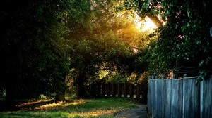 fence, trail, trees, wire, yard, fencing, light
