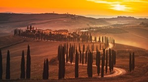 sunset, trees, road, grass, horizon