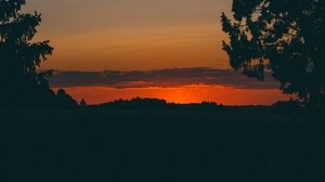 sunset, trees, horizon - wallpapers, picture