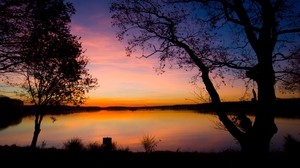 sunset, trees, shape, twilight, lake