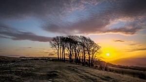 sunset, trees, landscape - wallpapers, picture