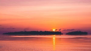 sunset, sea, horizon, trees, sky - wallpapers, picture