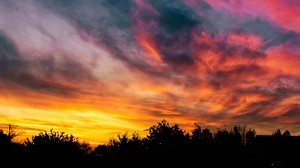 sunset, sky, trees, colorful