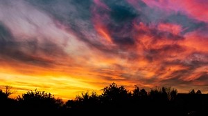 tramonto, cielo, alberi, colorato