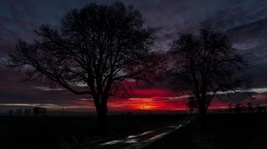 puesta de sol, nubes, árboles, camino, horizonte - wallpapers, picture