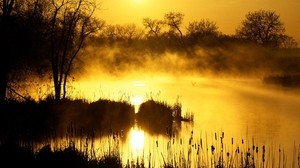 日落，橙色，雾，芦苇，池塘，蒸发
