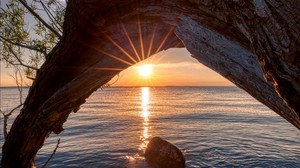 sunset, lake, tree, sun, rays