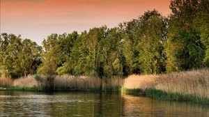 sunset, lake, grass, trees - wallpapers, picture
