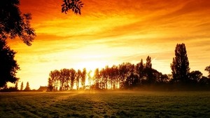 sunset, field, trees, arable land, glow, orange, light, haze, steam