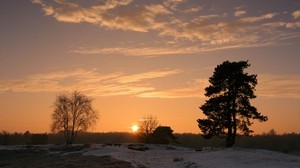 日落，太阳，地平线，树木，田野 - wallpapers, picture