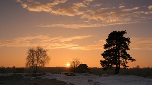 sunset, sun, horizon, trees, field