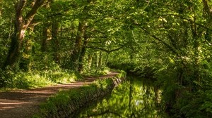 west devon, england, river, path, forest - wallpapers, picture