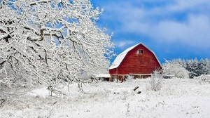 building, sky, snow, trees