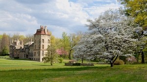 byggnad, gräs, blommor, natur