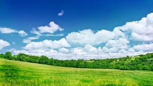 greens, meadow, trees, clouds, colors
