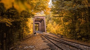railway, autumn, foliage, trees - wallpapers, picture