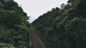 railway, trees, road