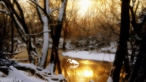 crane, forest, lake, trees, snow, winter