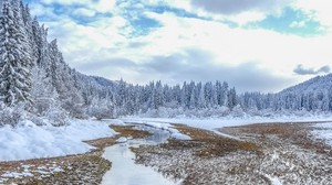 winter, trees, spruce, landscape, Kranjska Gora, Slovenia