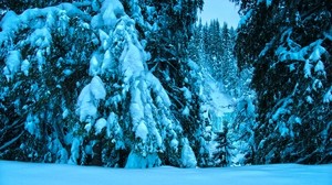 vinter, träd, åt, snö, landskap