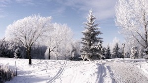 winter, trees, hoarfrost, ski run, traces, snow, sky, clouds, rise - wallpapers, picture
