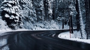 winter, road, trees, snow, turn