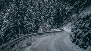winter, road, turn, snow, branches, mountain