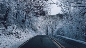 winter, road, markup, trees, snow