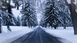 vinter, väg, snö, träd, vinterlandskap