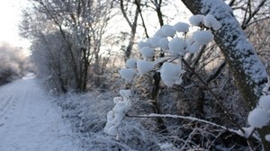 冬天，道路，雪，草，霜 - wallpapers, picture