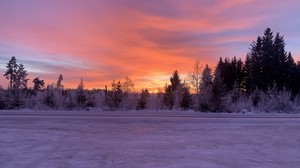 inverno, orizzonte, alba, neve, alberi, cielo, nevoso, alba