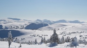 winter, mountains, slopes, trees