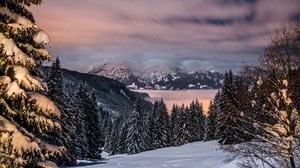 vinter, berg, snö, träd, Bayern, Tyskland
