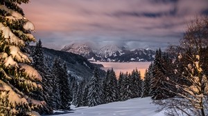 冬、山、雪、木、バイエルン、ドイツ