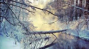 winter, lake, tree, snow, steam, morning