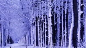 invierno, parque, banco, árboles, nieve, escarcha - wallpapers, picture